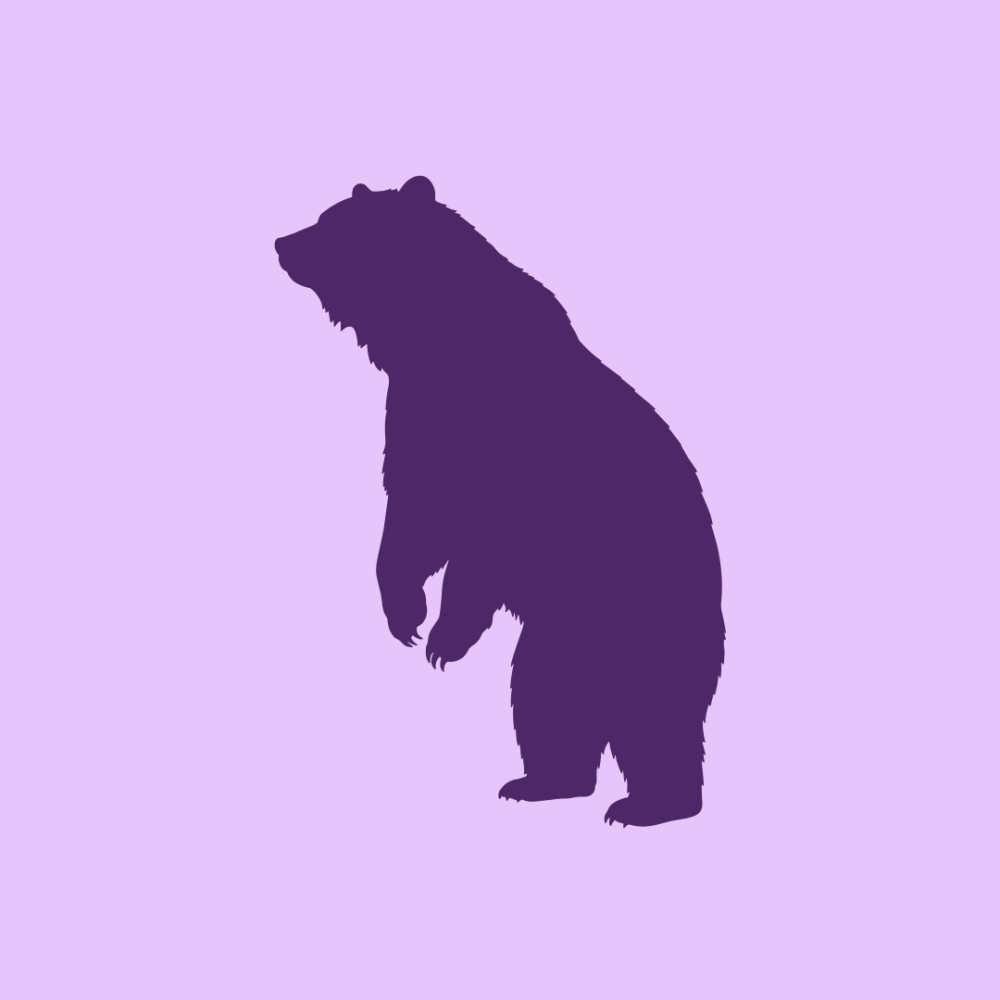 Bear Lenormand Card